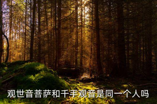 觀世音菩薩和千手觀音是同一個人嗎