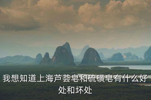 上海市蘆薈香皂加盟，蘆薈美容單品牌店加盟哪家好