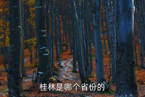 廣西桂林，桂林是哪個省份的