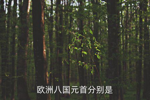 歐洲八國元首分別是