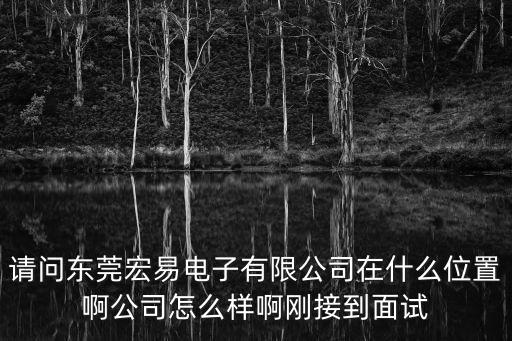 請問東莞宏易電子有限公司在什么位置啊公司怎么樣啊剛接到面試