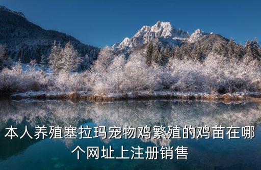 塞拉瑪觀賞雞，請(qǐng)問(wèn)這是什么動(dòng)物呢價(jià)值是多少
