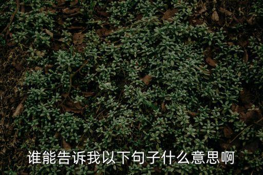 誰能告訴我以下句子什么意思啊