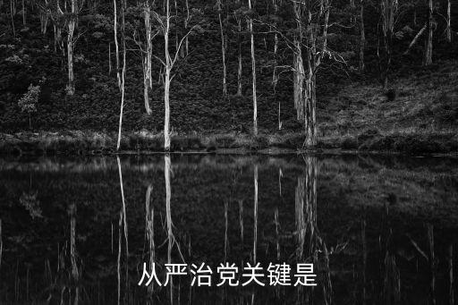 從嚴治黨關鍵是