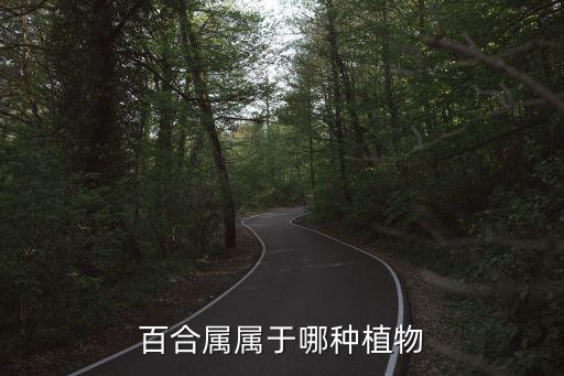 百合屬，百合屬于什么科類植物百合是什么科類的植物