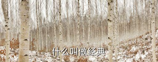 什么叫做經典