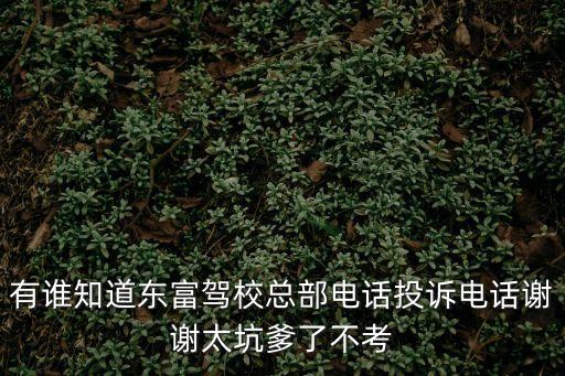 有誰知道東富駕校總部電話投訴電話謝謝太坑爹了不考