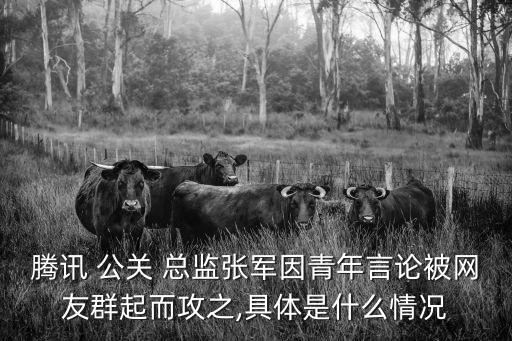 騰訊 公關 總監張軍因青年言論被網友群起而攻之,具體是什么情況