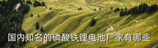 國內(nèi)知名的磷酸鐵鋰電池廠家有哪些
