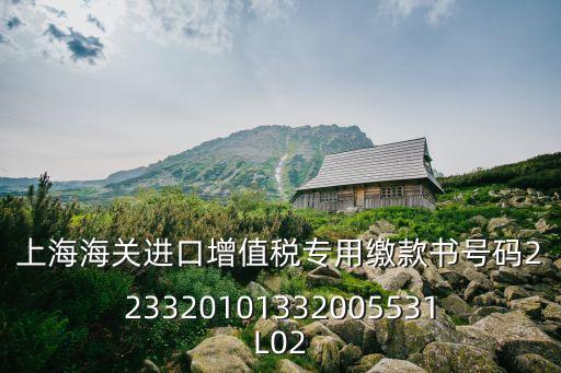 上海海關進口增值稅專用繳款書號碼223320101332005531L02