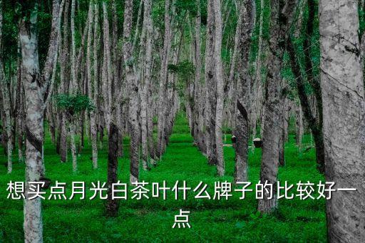 想買點月光白茶葉什么牌子的比較好一點