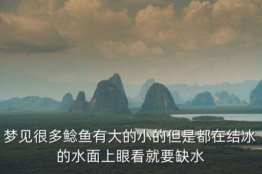 夢(mèng)見鯰魚，夢(mèng)見很多鯰魚有大的小的但是都在結(jié)冰的水面上眼看就要缺水