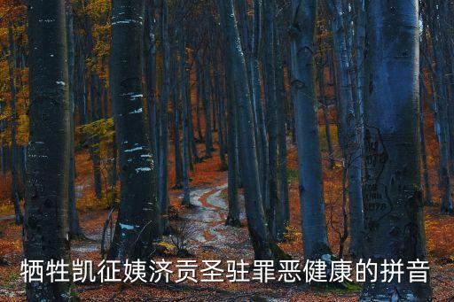 犧牲凱征姨濟貢圣駐罪惡健康的拼音