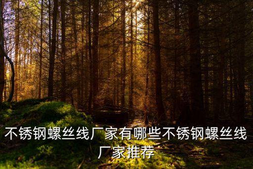 不銹鋼螺絲線廠家有哪些不銹鋼螺絲線廠家推薦