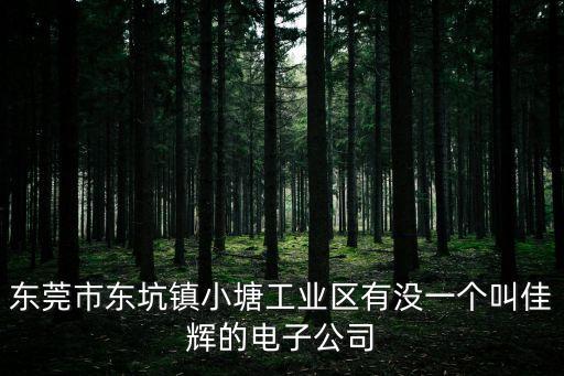 東莞市東坑鎮小塘工業區有沒一個叫佳輝的電子公司