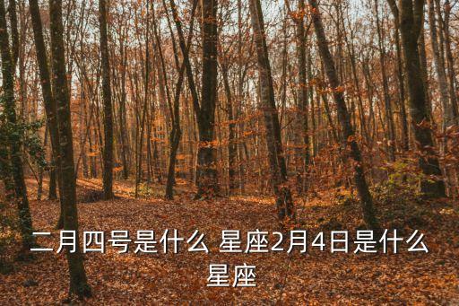二月四號(hào)是什么 星座2月4日是什么 星座