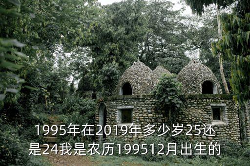 1995年在2019年多少歲25還是24我是農(nóng)歷199512月出生的