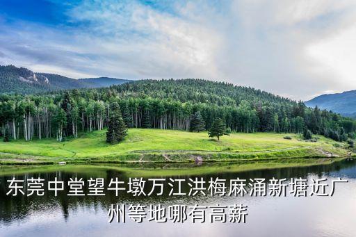 東莞中堂望牛墩萬江洪梅麻涌新塘近廣州等地哪有高薪