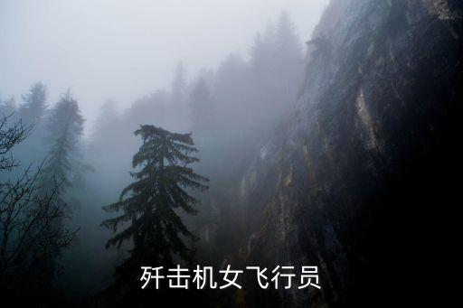 殲擊機女飛行員
