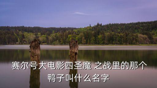  賽爾號大電影四圣魔 之戰里的那個鴨子叫什么名字