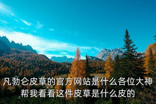 凡勃侖皮草的官方網站是什么各位大神幫我看看這件皮草是什么皮的