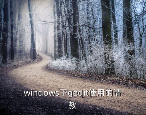gedit命令，windows下gedit使用的請教