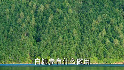 糖參，糖參怎么吃營養好一些