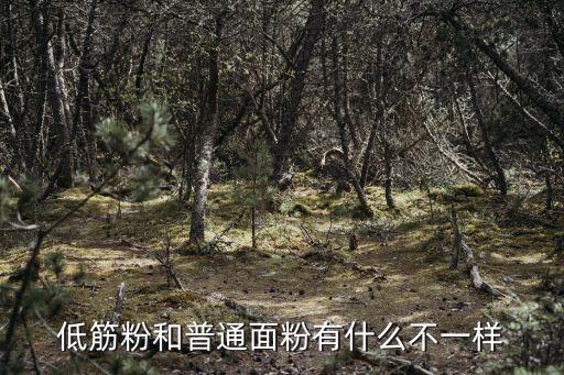 低筋面粉和普通面粉的區別，什么是低筋面粉 與普通面粉有什么區別
