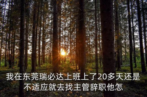 東莞牛楊村瑞必達(dá)招聘，東莞招聘信息