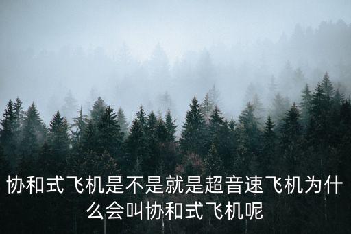 協(xié)和式飛機(jī)是不是就是超音速飛機(jī)為什么會(huì)叫協(xié)和式飛機(jī)呢