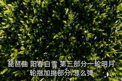 琵琶曲 陽春白雪 第三部分一輪明月 輪指加挑部分 怎么彈