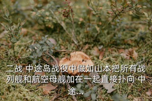 二戰 中途島戰役中假如山本把所有戰列艦和航空母艦加在一起直接撲向 中途...