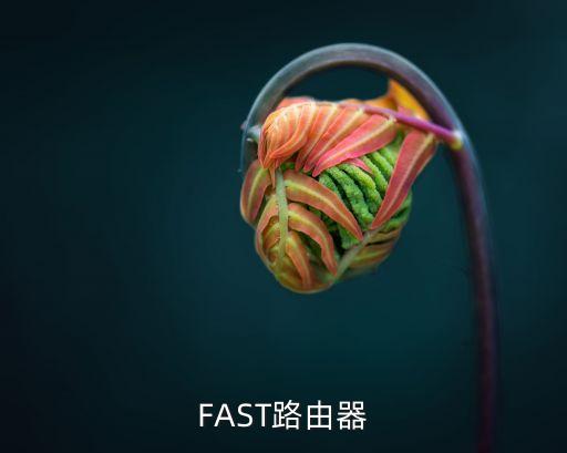 FAST路由器
