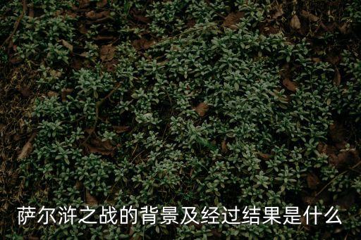 薩爾滸之戰(zhàn)的背景及經(jīng)過(guò)結(jié)果是什么