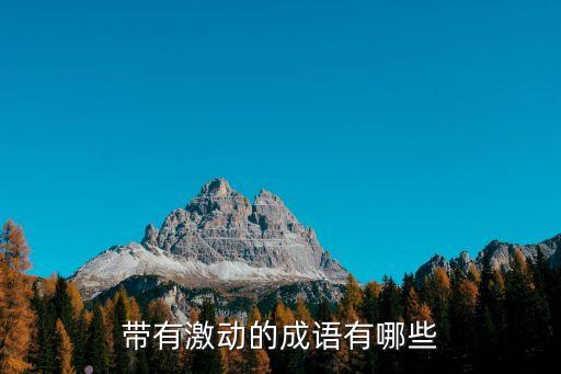 帶有激動的成語有哪些