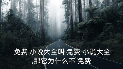  免費(fèi) 小說大全叫 免費(fèi) 小說大全,那它為什么不 免費(fèi)