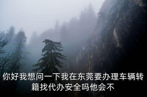 你好我想問一下我在東莞要辦理車輛轉(zhuǎn)籍找代辦安全嗎他會不