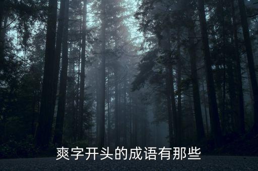 爽字開頭的成語(yǔ)有那些