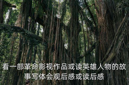 看一部革命影視作品或讀英雄人物的故事寫(xiě)體會(huì)觀后感或讀后感