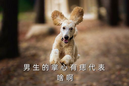 男 生 的 掌 心 有 痣 代 表 啥 啊