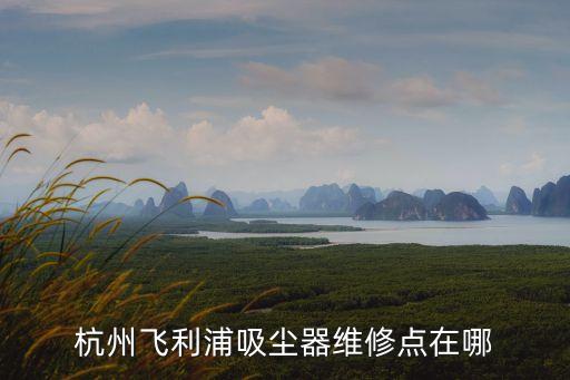 東莞盛家機械有限公司怎么樣，杭州飛利浦吸塵器維修點在哪