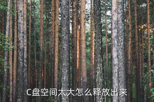 釋放c盤空間，C盤空間太大怎么釋放出來