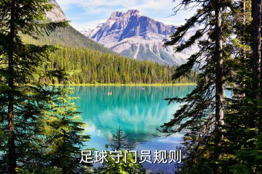 足球守門員規則