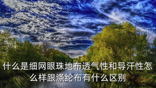 地布，什么是細網(wǎng)眼珠地布透氣性和導汗性怎么樣跟滌綸布有什么區(qū)別