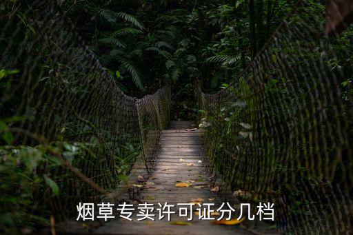 煙草專賣許可證分幾檔