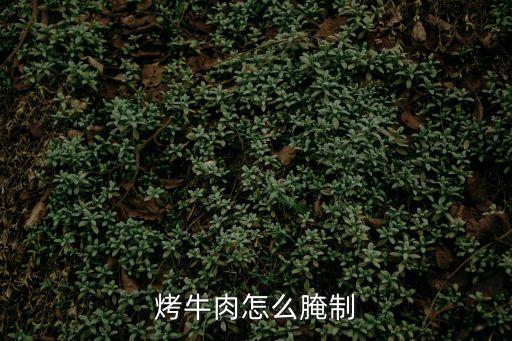 燒烤牛肉怎么腌制，燒烤要的牛肉怎么腌制