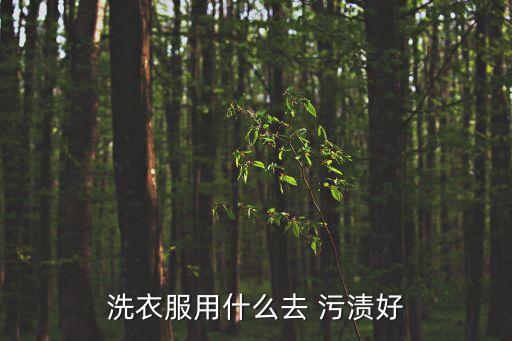 洗衣服用什么去 污漬好