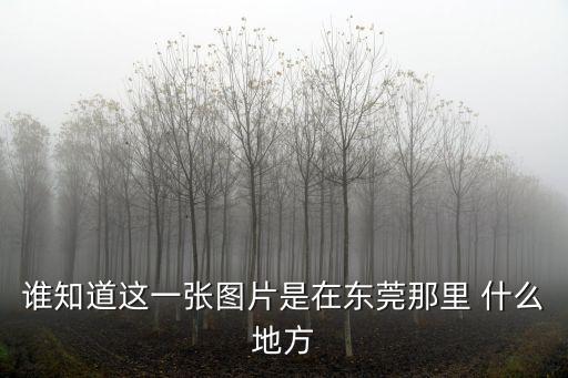東莞長安眾福地產相片，誰知道這一張圖片是在東莞那里 什么地方