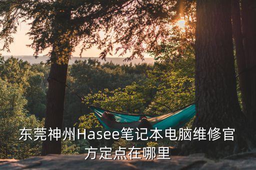 東莞神州Hasee筆記本電腦維修官方定點(diǎn)在哪里