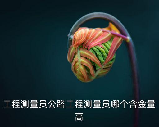 工程測量員公路工程測量員哪個含金量高
